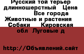 Русский той-терьер длинношерстный › Цена ­ 7 000 - Все города Животные и растения » Собаки   . Кировская обл.,Луговые д.